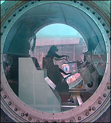 Russian monkey in Bion space capsule in Sochi